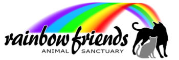 Download Rainbow Friends - Logo - Rainbow Friends Animal Sanctuary PNG  Image with No Background 