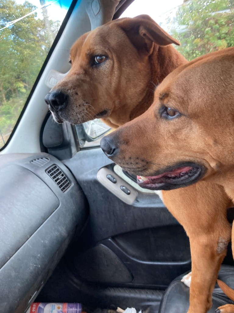 Reuben & Akaka GD