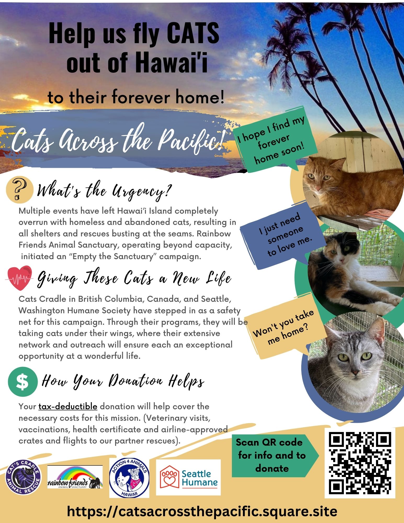 Cats to Canada Flyer