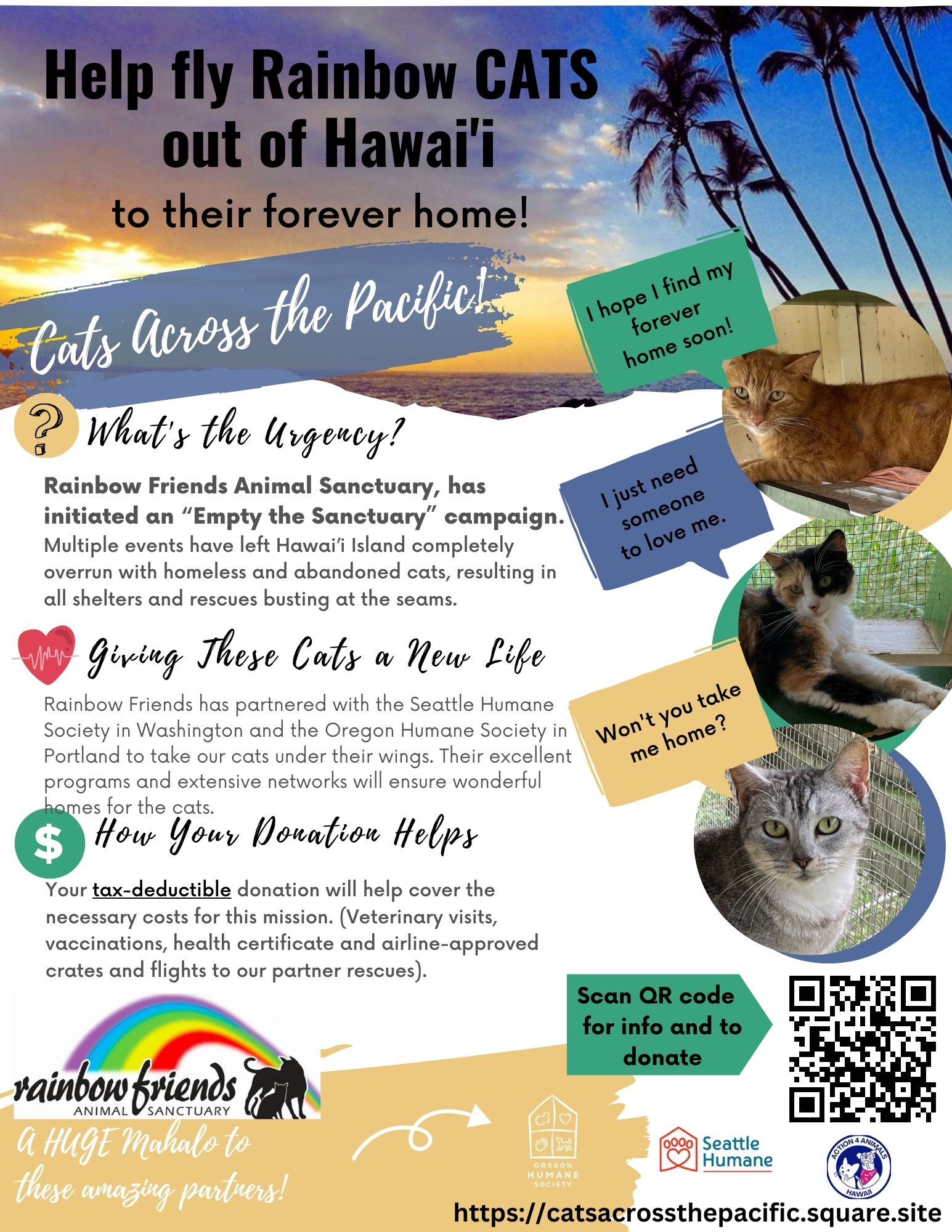Cats Across the Pacific May 2023 Flyer