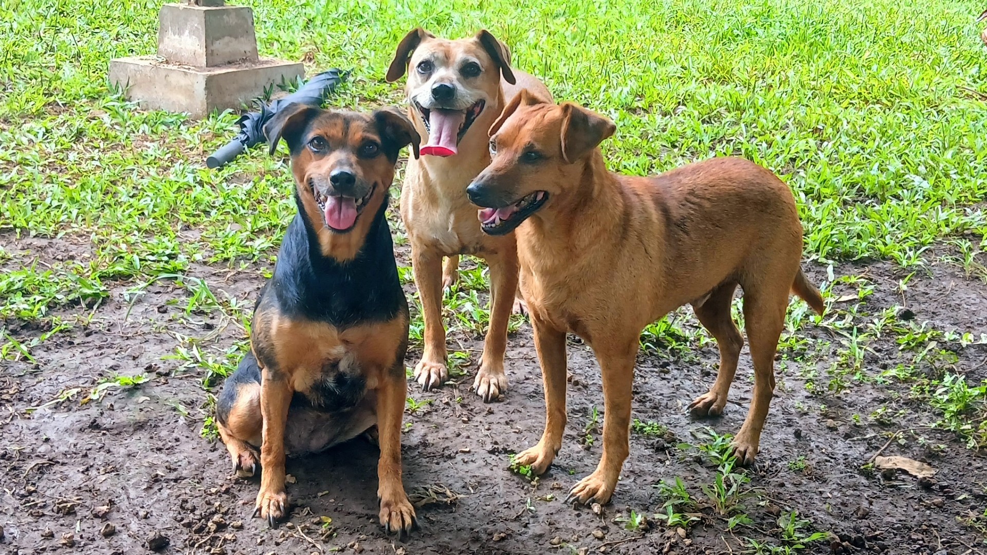 Nash Group